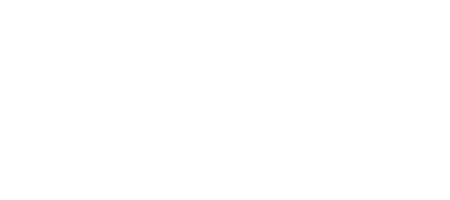 Riders Plus Insurance Logo